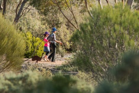 Two people walk on one of the many garden paths, visible through green eremophilas and other arid plants